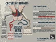 impunityen2015updatemed